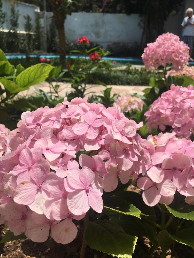 Вилла Chale Rosa Do Vale Петрополис Экстерьер фото